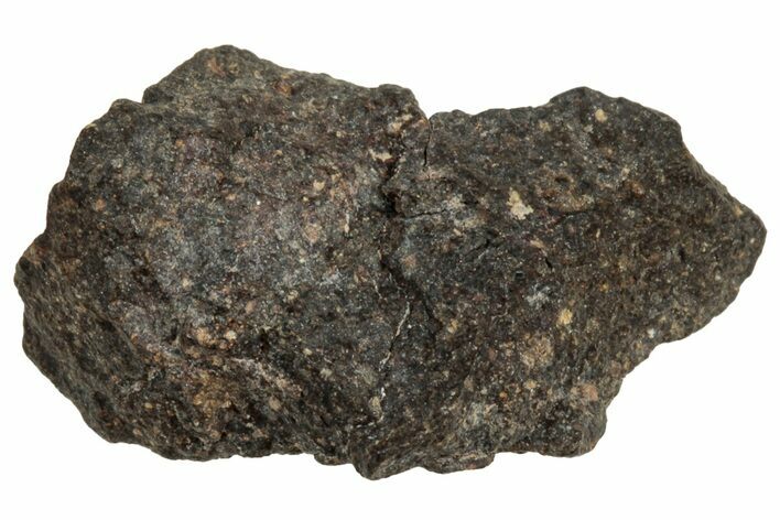 Carbonaceous Chondrite Meteorite ( g) - NWA #313776